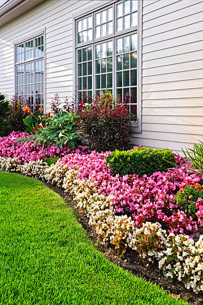 istock Colorful flower garden 137298266
