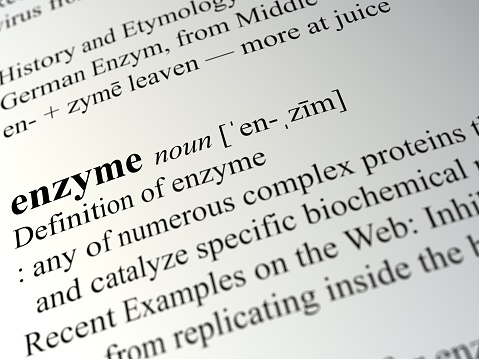 Definition of Enzyme in dictionary