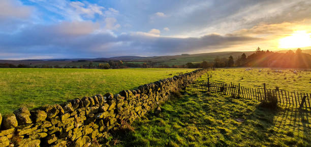 istock Beauty of a morning 1372984123