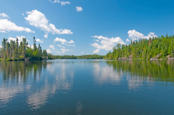 istock Calm Waters in the Remote Woods 1372986336