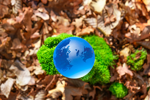 Crystal blue Globe In Green Forest