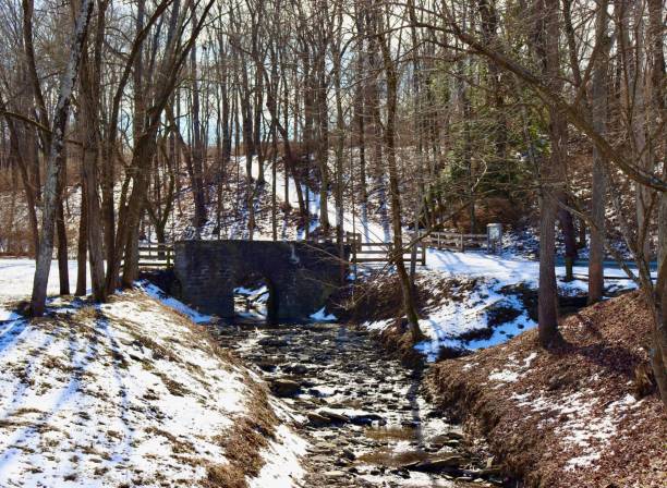 istock Old Stone Bridge in the Woods 1372986520