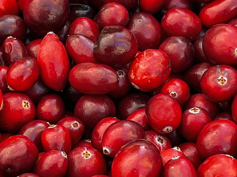 close up of a retail display of a pile of organically grown cranberries, for sale at a farmer's market, Long Island, NY