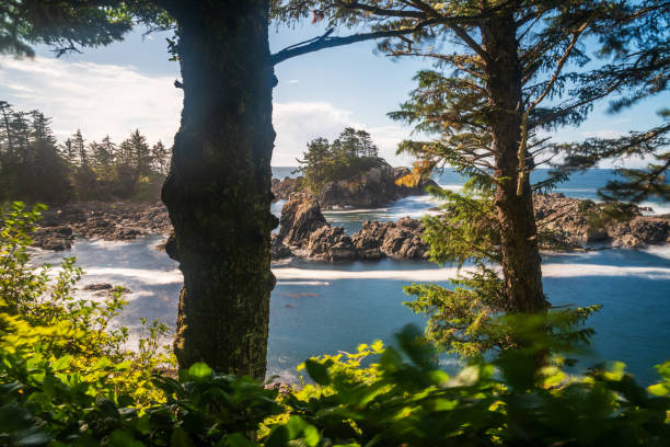istock Ucluelet BC Seascape Vancouver Island 1372995442
