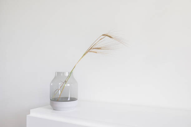 istock Fresh barley bunch decorated in glass vase 1372995647