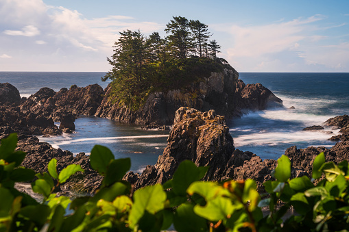 The Wild Pacific Trail in Ucluelet BC on the west coast of Vancouver Island.