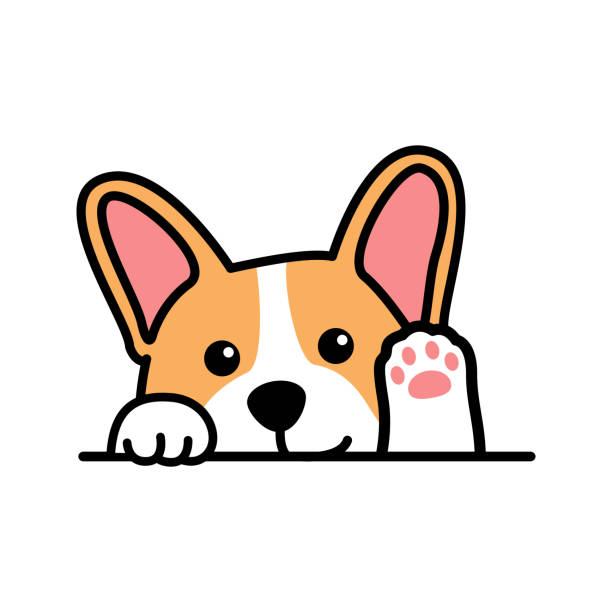 Cute Pembroke Welsh Corgi Dog Waving Paw, Vector Illustration Cute Pembroke Welsh Corgi Dog Waving Paw, Vector Illustration peeking stock illustrations