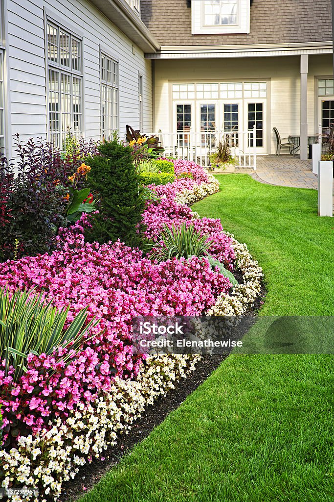 Colorful flower garden Flowerbed of colorful flowers against wall with windows Yard - Grounds Stock Photo