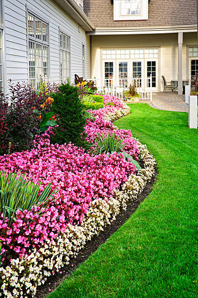 Colorful flower garden Flowerbed of colorful flowers against wall with windows residential garden stock pictures, royalty-free photos & images