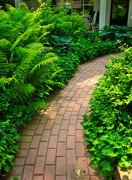 istock Brick path in landscaped garden 137300110