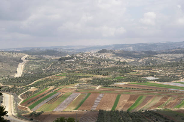 istock Judea and Samaria Landscape 1373003848