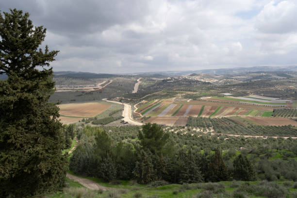 istock Judea and Samaria Landscape 1373003883