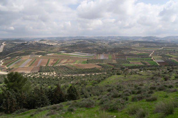Judea and Samaria Landscape