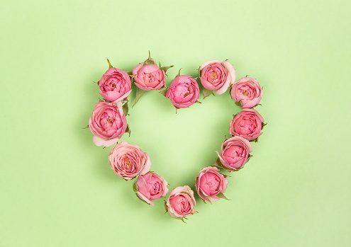 Pink roses heart on green background