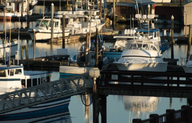istock Sunset highlights on boats in Westhaven marina 1373006890