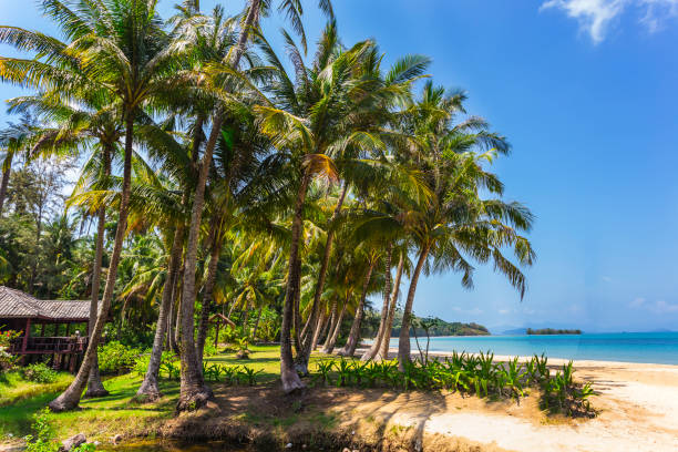 istock Beautiful tropical beach at island Koh Chang 1373007997