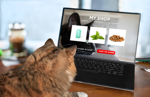 Cat ordering food, toy and catnip by internet with a laptop for home delivery. Fake mockup web shop screen. Concept for pets using technology, ordering online or animals imitating humans. Selective focus with blurred background. cats shopping stock pictures, royalty-free photos & images