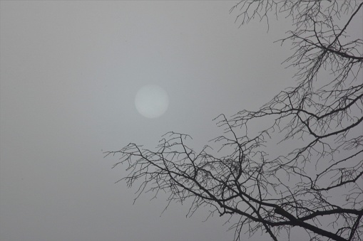 View to the sun on a cold and misty morning