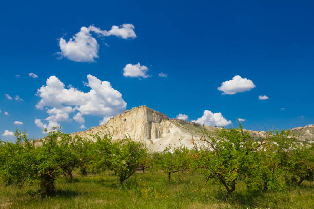 istock white rock crimea ukraine 1373009432