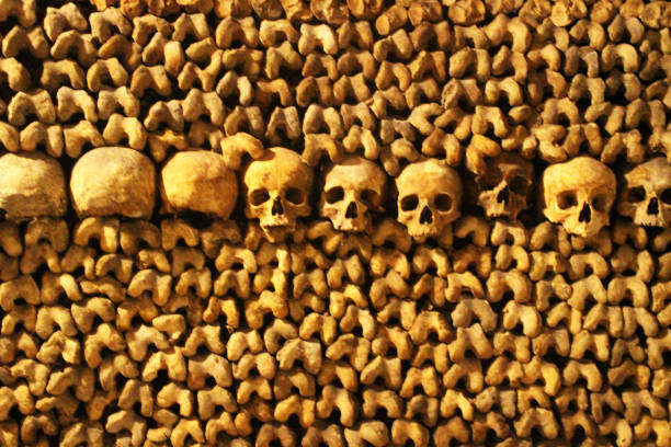 istock Row of Skulls and Bones 1373010127