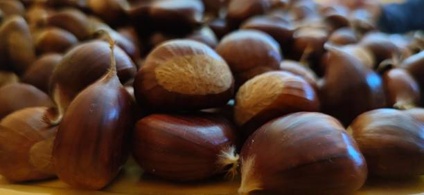 Chestnuts Chestnuts capua stock pictures, royalty-free photos & images