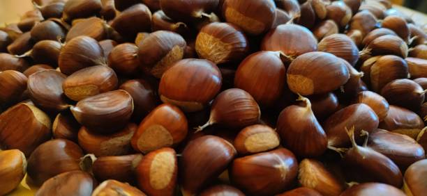 Chestnuts Chestnuts capua stock pictures, royalty-free photos & images