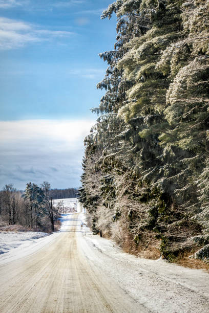 istock Long Rural Road on a Winter Morning 1373010611