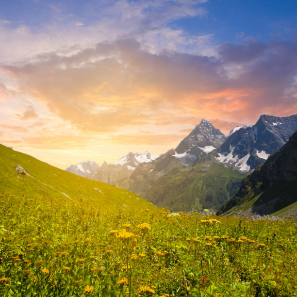 istock mountain valley landscape at the evening 1373013452