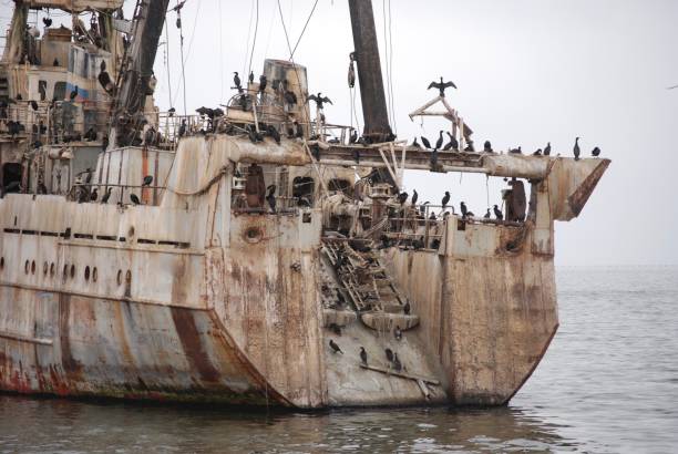 istock Abandoned Russian Whaling ship Swakopmund 1373015822
