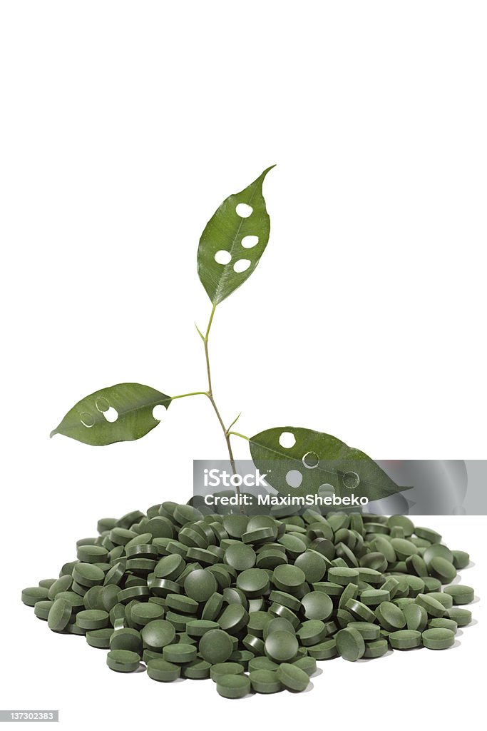 spirulina tablettes et Plante verte - Photo de Aliment libre de droits