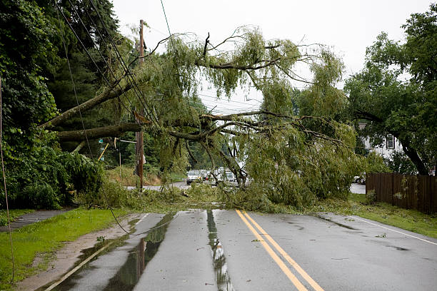 istock The aftermath of severe weather on a road 137302464
