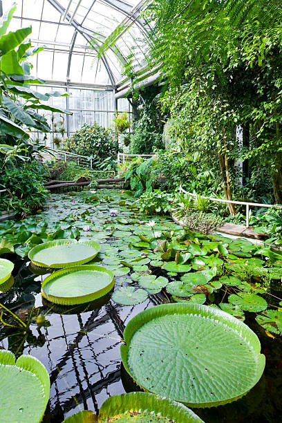 istock Botanical Garden, Prague 137302714