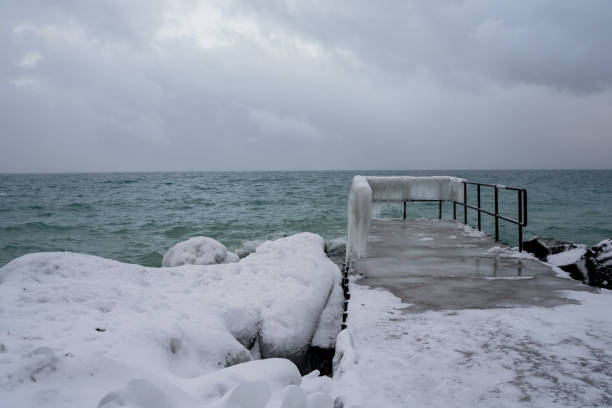 istock Lonely tree on the lake in winter 1373029347