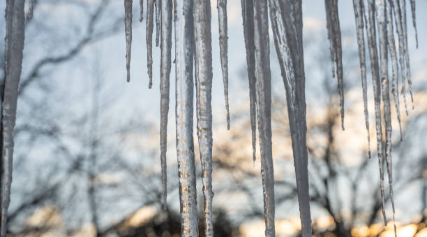 해빙 의 눈 덮인 겨울 날에 집의 지붕에 큰 고드름 - january winter icicle snowing 뉴스 사진 이미지