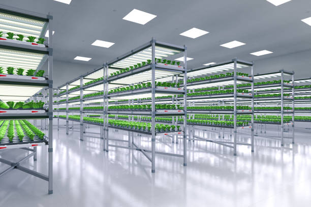 istock indoor farm system raised plants on shelves growth with led light 1373030714