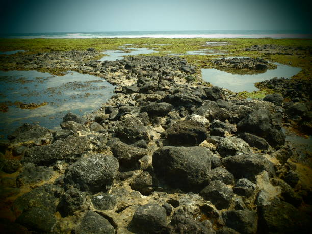 istock Ranca Buaya unique beach, Garut, West Java, Indonesia 1373031913