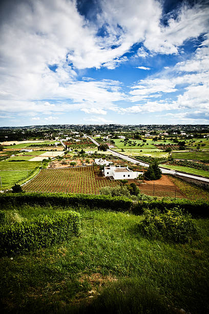 Apulia Landscape, Italy