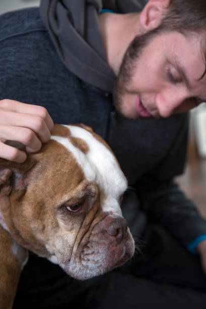 istock Man's best friend, his dog. 1373037046