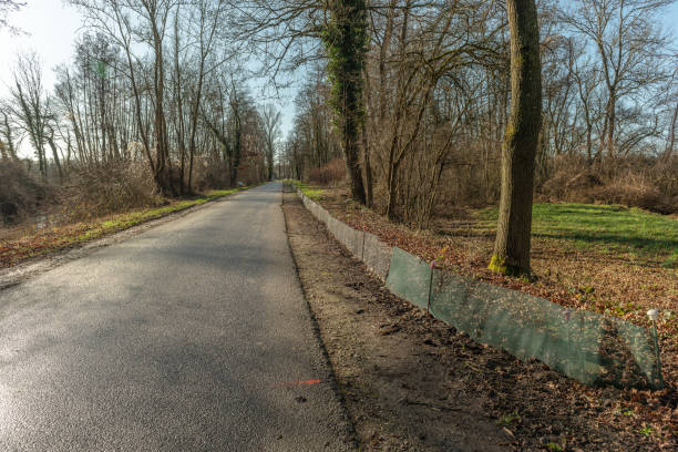 istock Fence on a road to protect batrachians during their spring migration. 1373037194