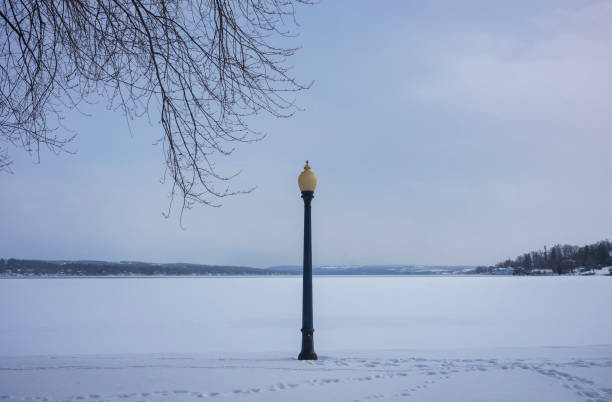 This is a photograph of a street light in Prospect Park Brooklyn on a winter day with snow.