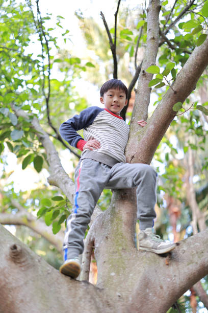 istock Little boy climbing the treeTree 1373041247