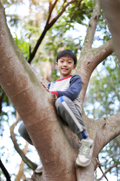 istock Little boy climbing the treeTree 1373041251