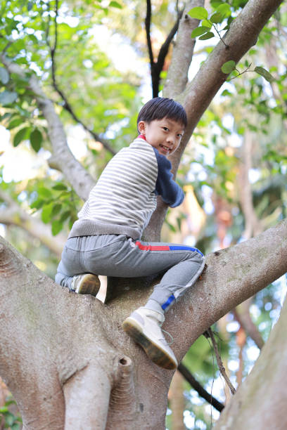 istock Little boy climbing the treeTree 1373041253