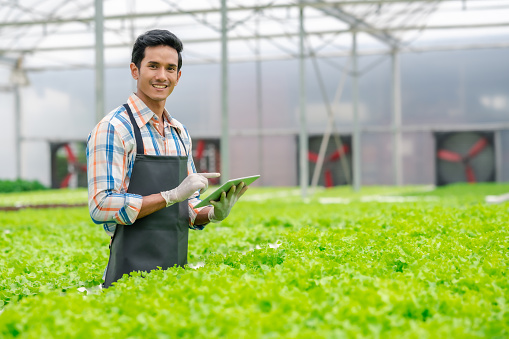 Happy Asian man farmer holding digital tablet to control hydroponic greenhouse vegetables salad farm