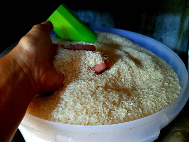 istock someone's hand holding the best quality rice 1373044535