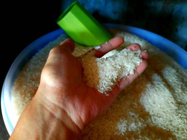 istock white rice in someone's hand 1373044547