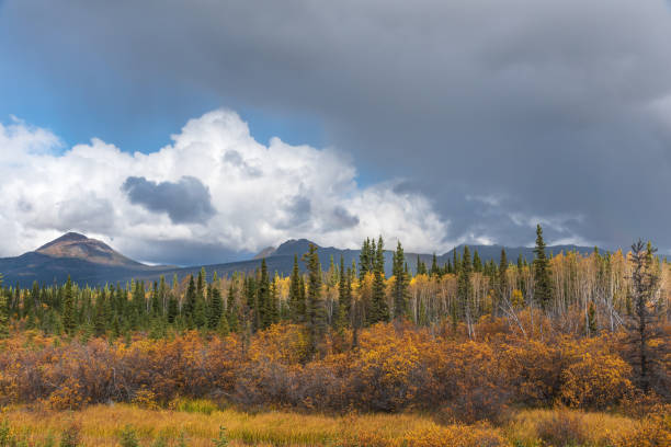 istock Fall season in northern Canada during September in autumn 1373055412
