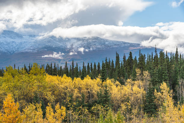 istock Fall season in northern Canada during September in autumn 1373056141