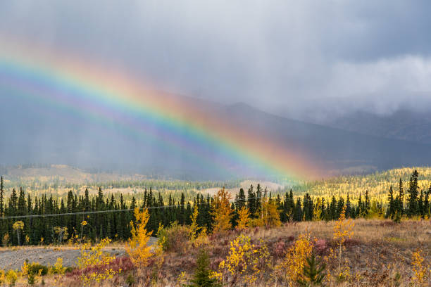 istock Golden yellow fall season landscape with cloudy sky. 1373056376