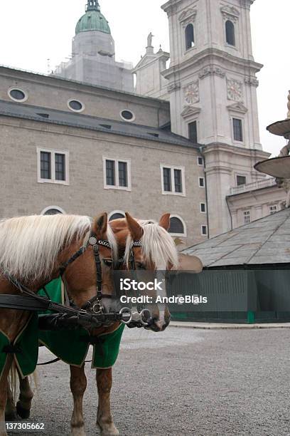 Brown Horses In Austria Stock Photo - Download Image Now - Animal, Architecture, Austria